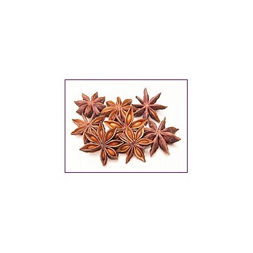 Factory wholesale pure natural star anise oil with best price 