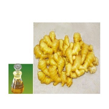 Distilled 100% Natural Ginger Essential Oil 