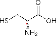 cis-4-Hydroxy-D-proline