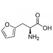 3-(1-Naphthyl)-L-Alanine