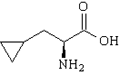 L-Cyclohexylalanine