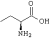 L-2,4-Diaminobutyric Acid