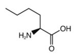 L-2,3-Diaminopropionic Acid