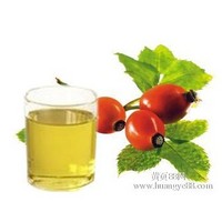 Natural methyl salicylate Wintergreen essential oil 
