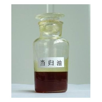 Good Quality Natural And Pure Angelica root Oil 