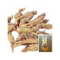 Female Ginseng Angelica Root Oil One Chinese Medicine Essential Oil 