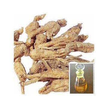 100% Natural Organic Angelica Oil 