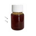 High quality Angelica Root Oil 