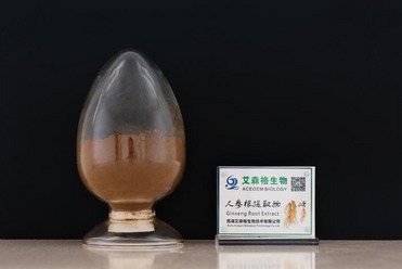 Panax Ginseng Extract