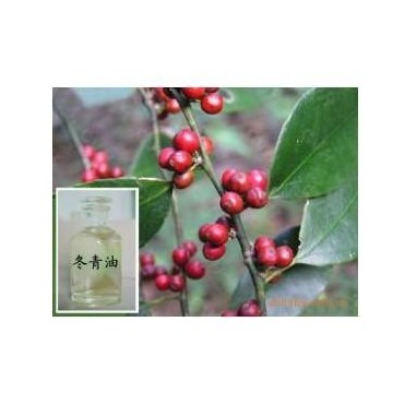 wintergreen oil, winter green oil, Chinese suppliers oil