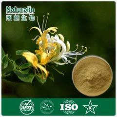 Honeysuckle Flower Extract