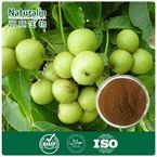 Walnut Extract