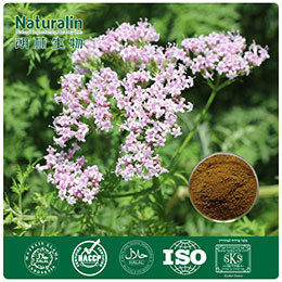 Valerian Root Extract