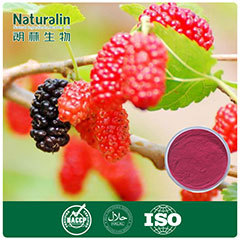 Mulberry Fruit Extract