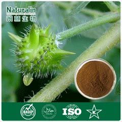 Tribulus Terrestris Extract