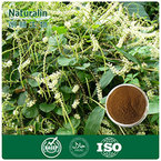 Madeira Vine Extract