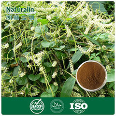 Madeira Vine Extract