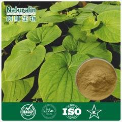 Kava Extract