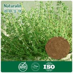 Thyme Extract