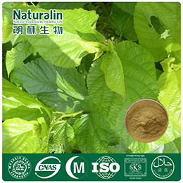 Mulberry Leaf Extract