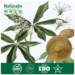 Horse Chestnut Seed Extract