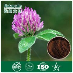 Red Clover Extract