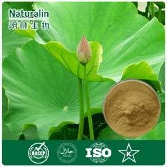 Lotus Leaf Extract