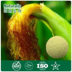 Stigmata Maydis / Corn Silk Extract