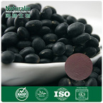 Black Bean Extract