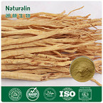 Codonopsis Root Extract