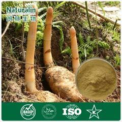 Gastrodia Root Extract