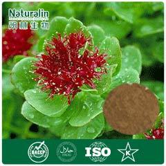 Rhodiola Extract