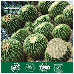 Cactus Extract