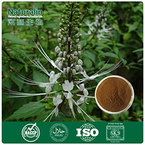 Black Cohosh Extract