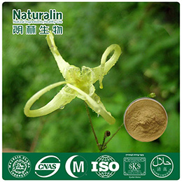 Epimedium Extract