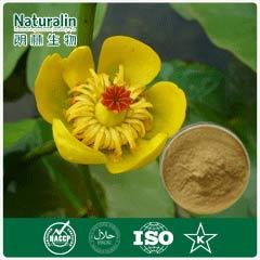 Nuphar Pumilum Extract