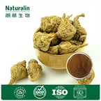 Maca Extract