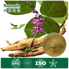 Pueraria / Kudzu Extract