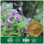 Thinleaf Milkwort Extract