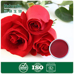 Rose Extract