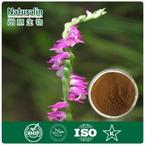 Motherwort Extract