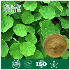 Gotu Kola Extract