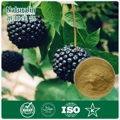 Siberian Ginseng Extract