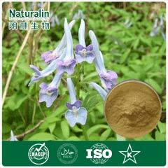 Corydalis Extract