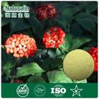 Notoginseng Extract