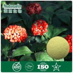 Notoginseng Extract