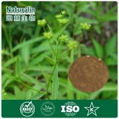 Bupleurum Extract