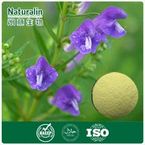 Skullcap Extract