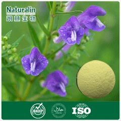 Skullcap Extract