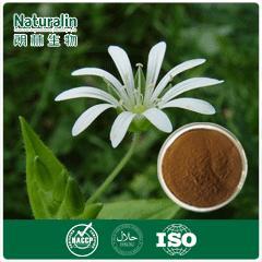 Chickweed Extract